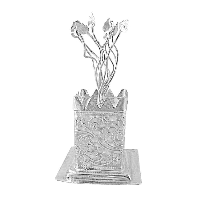 German Silver tulsi plant (10198)