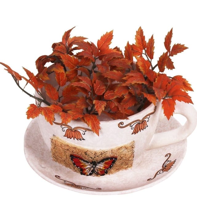 Teacup shaped Ceramic Planter, Pot, Container for Desk, Garden, Indoor pots (10240)