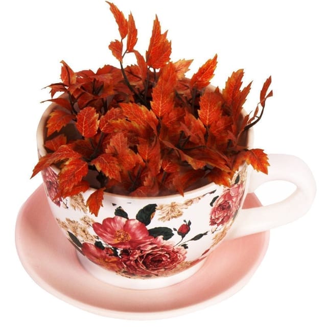 Teacup shaped Ceramic Planter, Pot, Container for Desk, Garden, Indoor pots (10239)