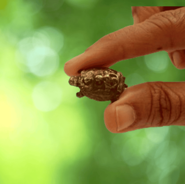 Rare Miniature Metallic Statue Tortoise/Turtle With Lord Buddha (11248)