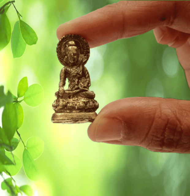 Rare Miniature Statue Gautam Buddha in Varada Mudra, Unique Collectible Gift (11400)