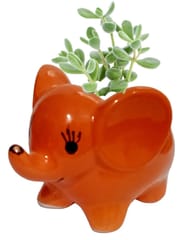 Ceramic Cute Elephant Planter: Indoor Outdoor Flower Pot Table Decor, Orange (12543A)