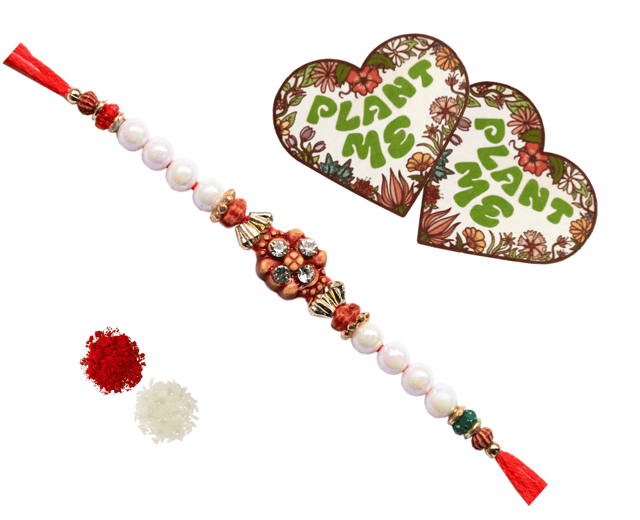 Rakhi For Brother With 2 Plantable Seed Paper Cards: Eco Friendly Sustainable Rakshabandhan Gift Pack (rakhi105)