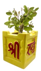 Ceramic Tulsi (Thulasi) Planter Flower Pot: Holy Hindu Plant Indoor Outdoor Vase, 6 Inches Tall (12551D)