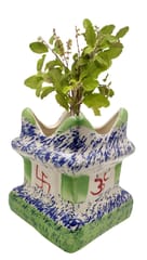 Ceramic Tulsi (Thulasi) Planter Flower Pot: Holy Hindu Plant Vase Indoor Outdoor 5.5 Inches Red Green (12551C)