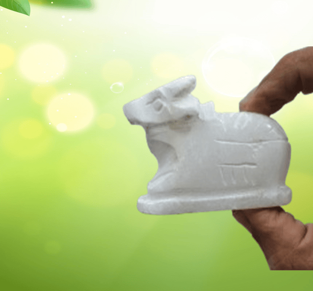 Stone Idol Nandi: Mount Of Shiva Parvati, White (12472A)