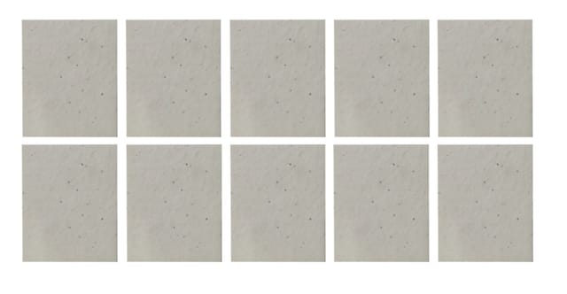 Plantable Seed Paper Plain Cards: Pack Of 10 Eco Friendly Bio-degradable Cards, White (12693G)